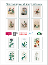 FLEURS ANIMEES & FLORE MEDICALE