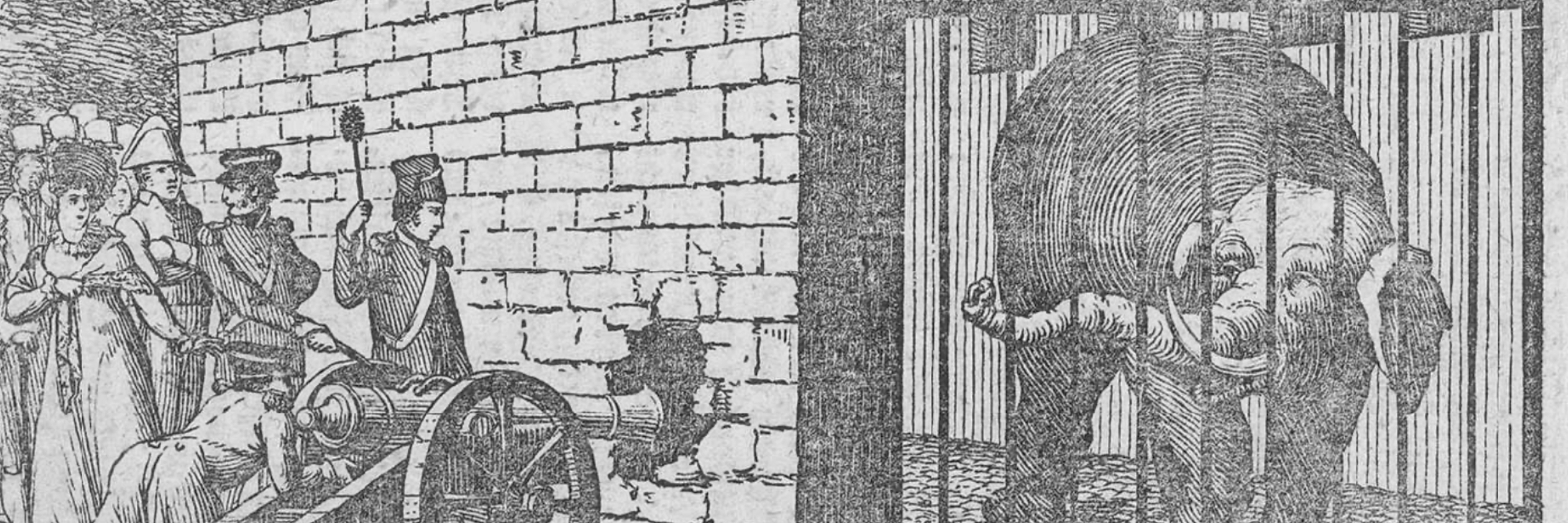 Des bêtes et des hommes