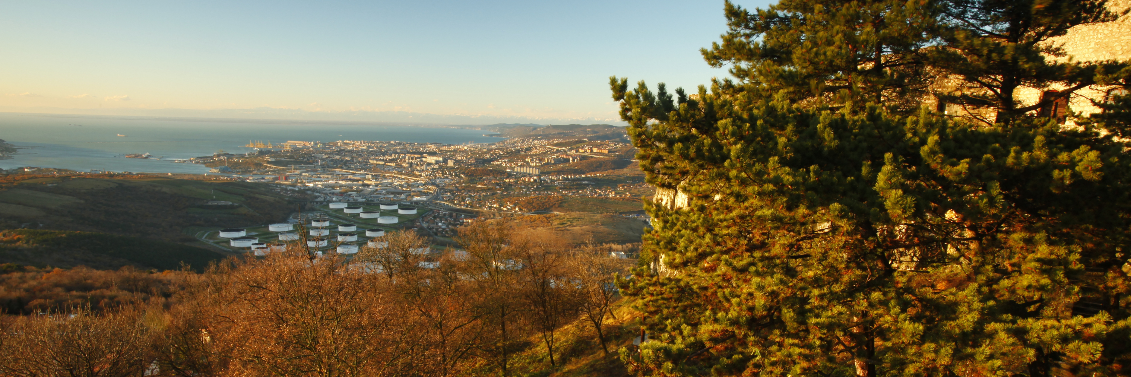 Trieste, la littérature pour territoire